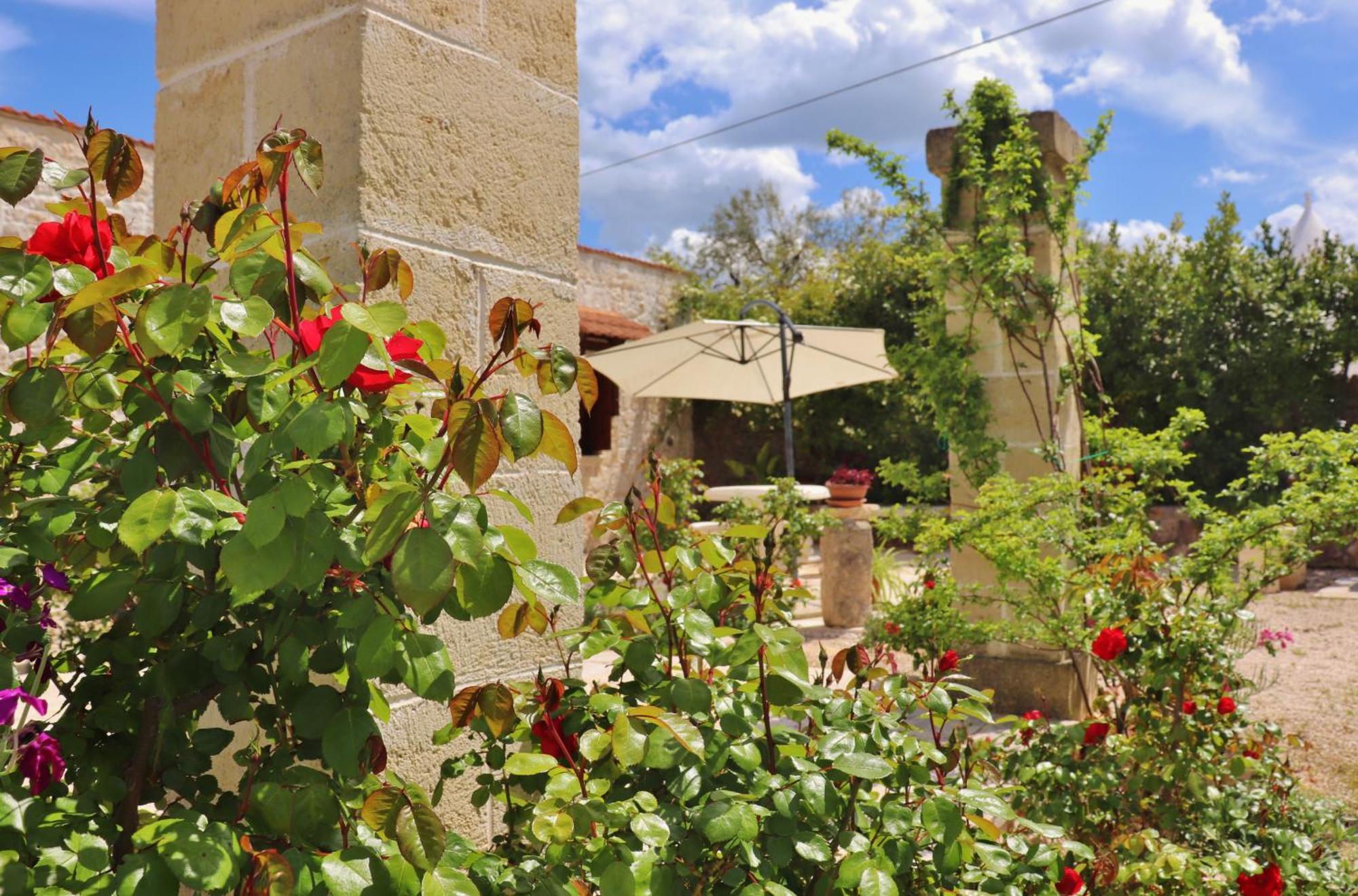 Trulli And Nature Antonelli Habitación foto