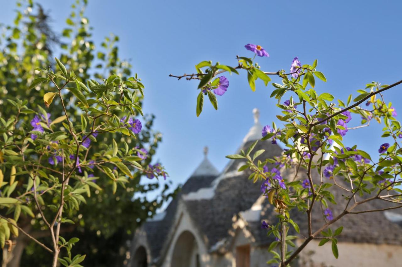 Trulli And Nature Antonelli Exterior foto